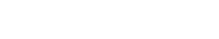 Novalon Wordmark